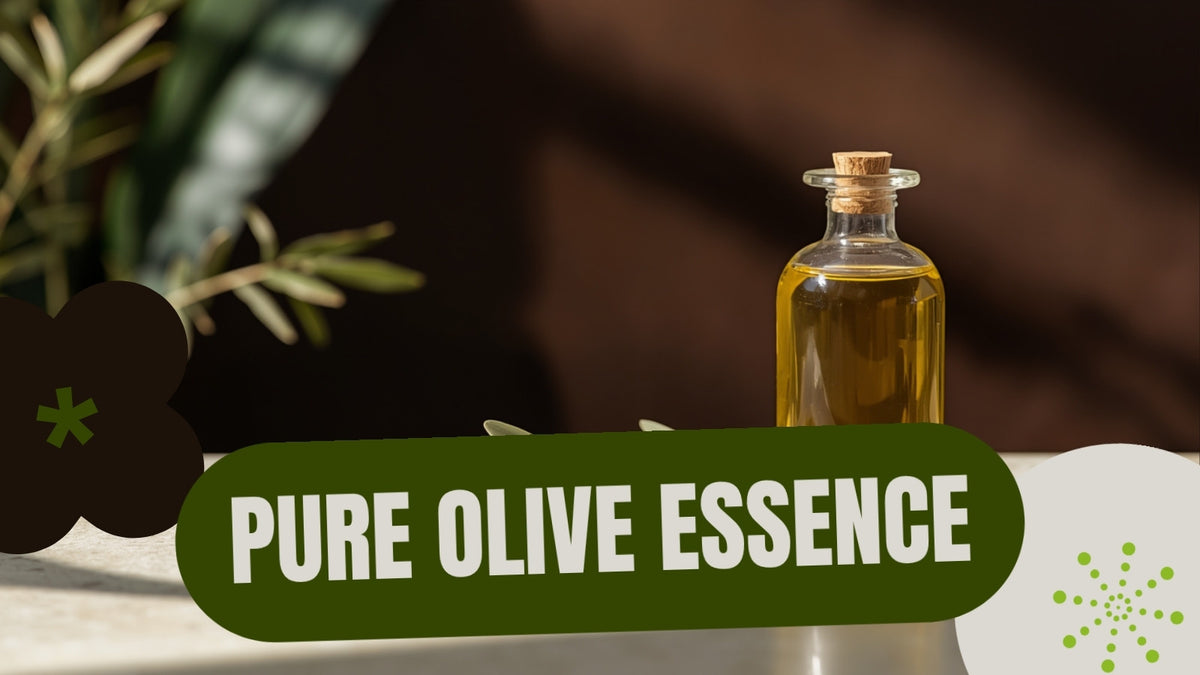 Editorial still-life of a glass bottle of golden extra virgin olive oil with fresh olives and an olive branch sprig, styled on textured cream stone in deep olive and lime brand tones, no text